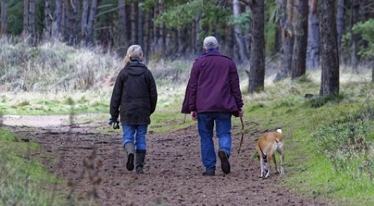 netewandeling